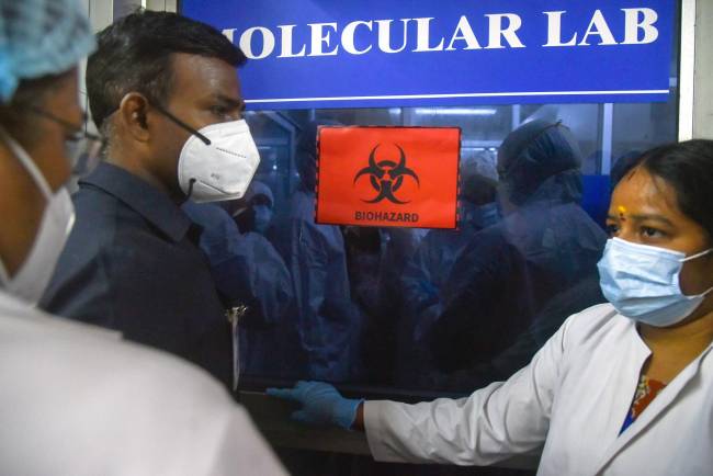 brote virus Nipah