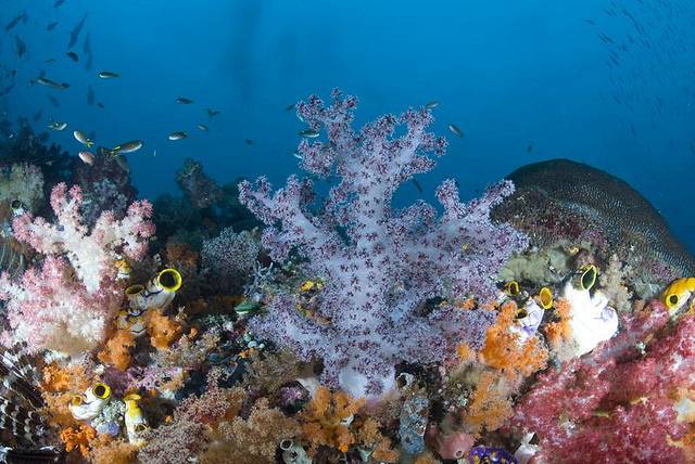 El cambio climático afecta a 62 lugares naturales Patrimonio Mundial de la Unesco