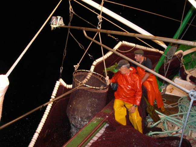  Pesca de pequeños pelágicos