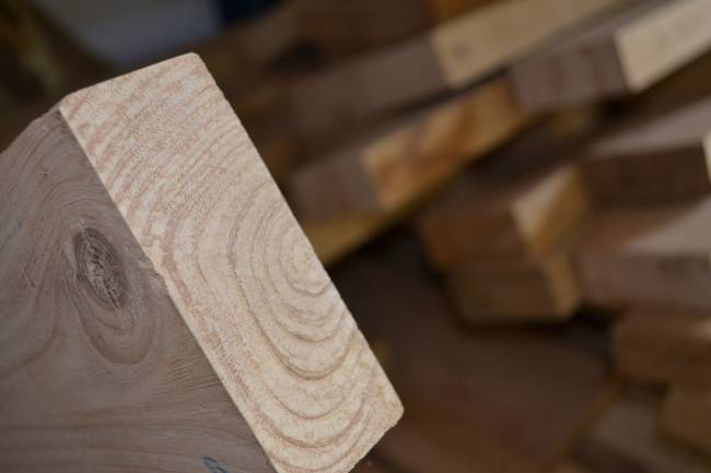 El castaño, a punto de convertirse en la primera madera noble española certificada para uso estructural