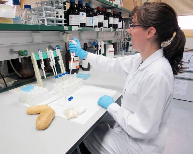 El consumo de centeno integral aumenta el contenido en omega-3 y mejora la flora intestinal  