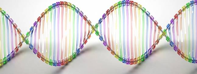 El ‘copiapega’ molecular, un paso más para evitar la alteración epigenética del cáncer  