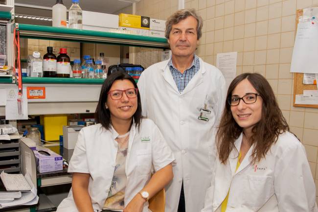 El espermatozoide tiene más funciones que el transporte de ADN al embrión
