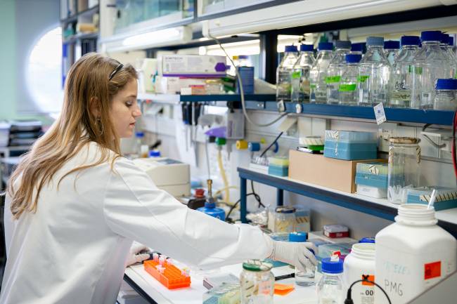 El Gobierno aprueba casi 30 millones para la investigación frente al COVID-19 