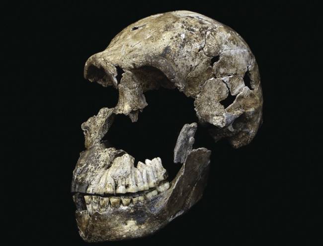 El ‘Homo naledi’ era más joven de lo que se pensaba