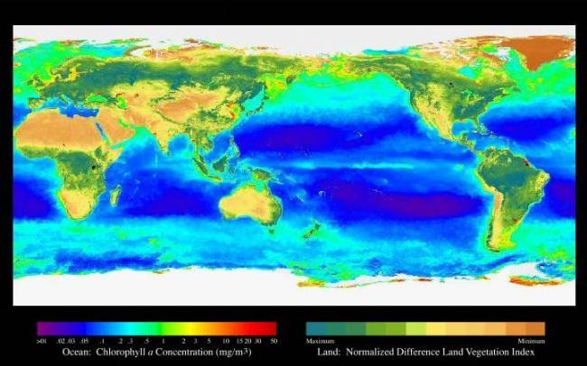 ‘El Niño’ también perturbó la Tierra durante el Plioceno