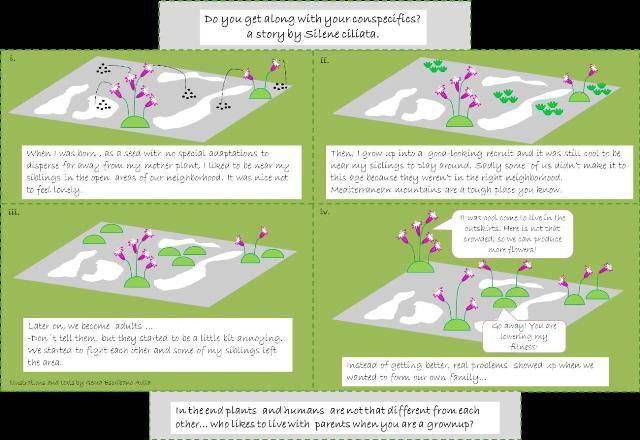 El patrón espacial es clave para evaluar la respuesta de las plantas al cambio climático