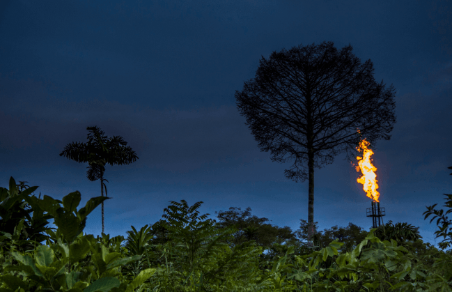 El petróleo pone en peligro la biodiversidad del Amazonas