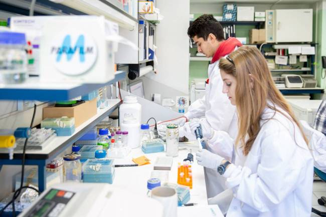 El Plan de choque por la Ciencia y la Innovación destinará 1.056 millones de euros de inversión directa
