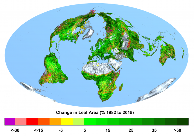 El planeta es más verde que hace 33 años por el aumento de CO2