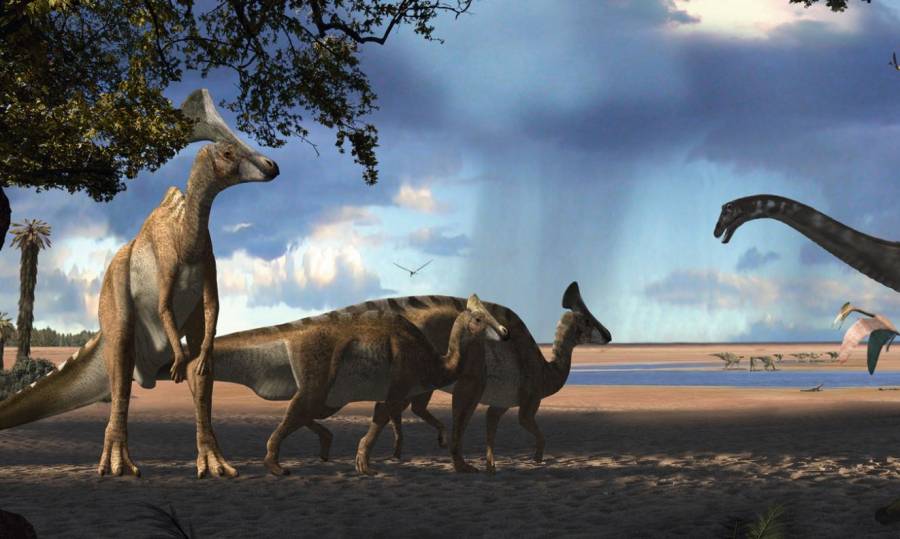 El primer dinosaurio lambeosaurino de Europa vivió en los actuales Pirineos