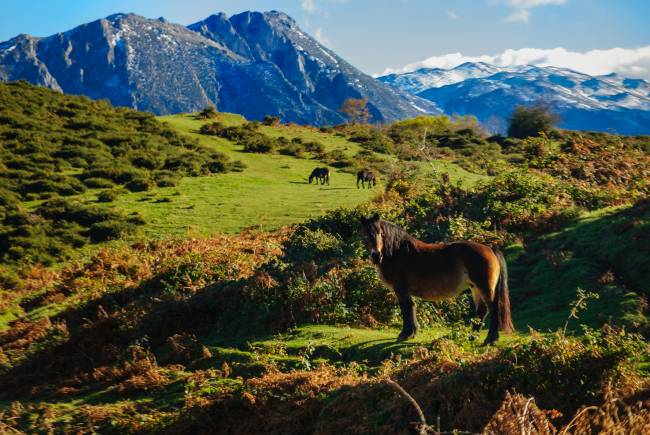 El reverdecimiento de la tierra se acerca a su límite 