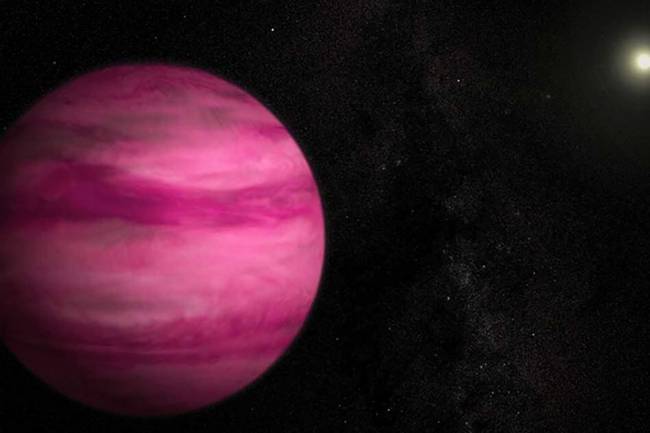 planeta rosa