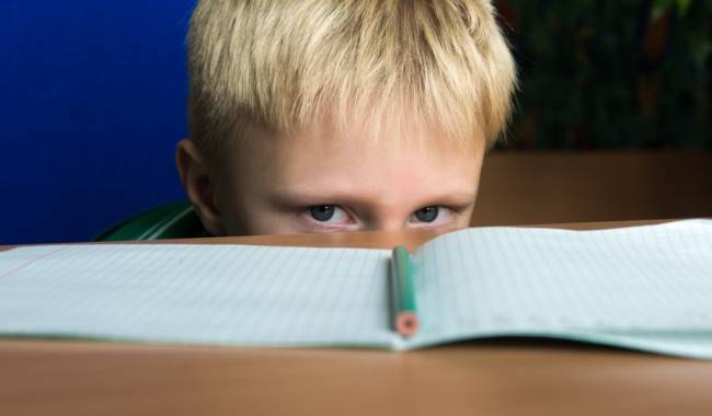 El tratamiento neuropsicológico reduce la agresividad y el aislamiento en niños con TDAH 