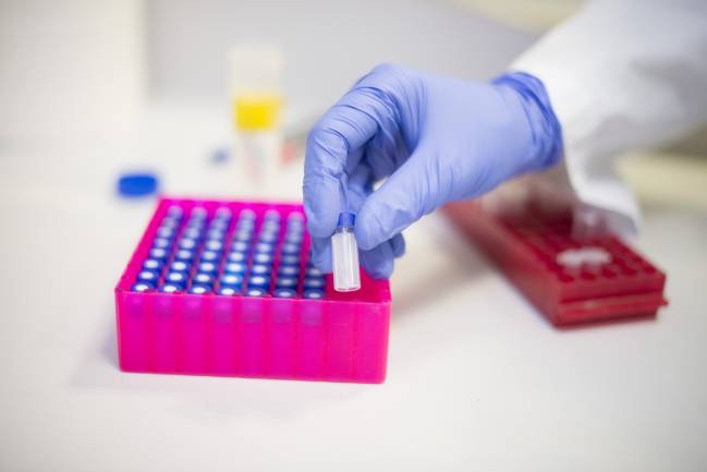 Empresas y centros de investigación unen fuerzas en un fármaco para la esquizofrenia