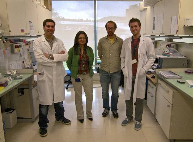Encontrada una posible diana para combatir los cánceres de hígado y colon