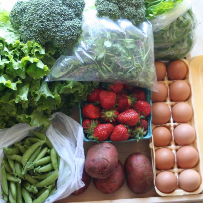 España regula el uso de plásticos reciclados que envuelven alimentos
