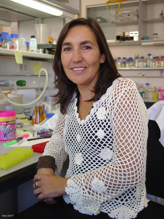 España y EE UU podrían colaborar en proyectos sobre inestabilidad genómica