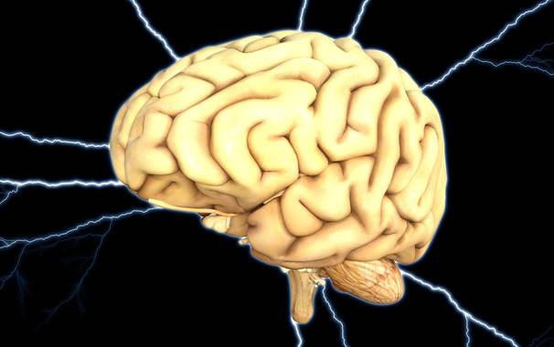 Esta área cerebral tiene una función especial en el estado de conciencia