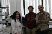Estudian dos genes relacionados con el autismo