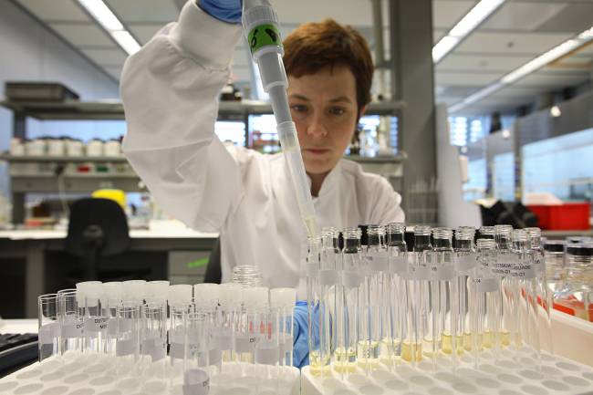 Europa revisa el sistema español de ciencia, tecnología e innovación