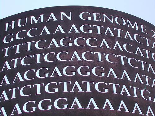 Expertos debaten cómo las proteínas interpretan el genoma humano