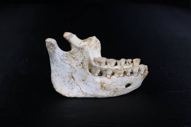 Fósiles hallados en Marruecos podrían ser de ancestros muy cercanos a los humanos modernos