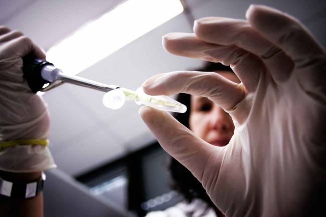 Galicia participa en un proyecto europeo sobre formas innovadoras de atraer al público hacia la ciencia