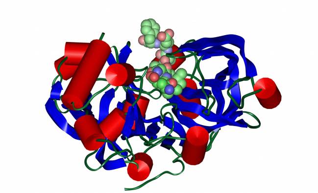 Hacia el diseño de moléculas que actúen como potenciales agentes contra la enfermedad del Alzheimer