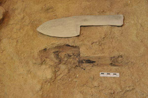 Hallan el artefacto de madera configurado más antiguo del registro arqueológico mundial