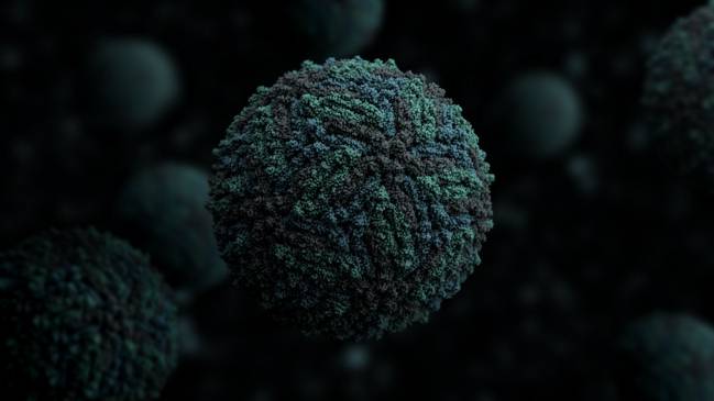 Hallan una proteína fundamental para combatir las infecciones víricas