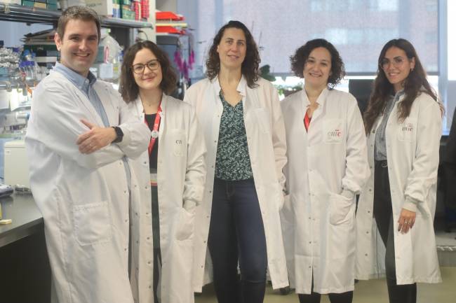 Hallan una proteína que protege contra la enfermedad cardiovascular