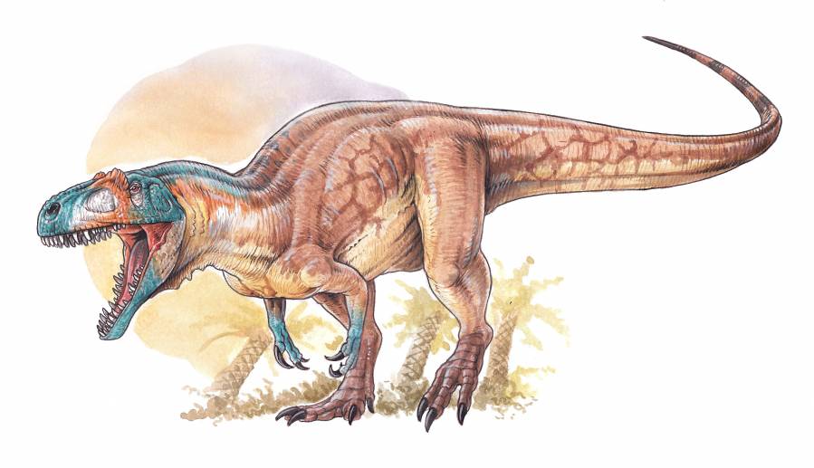 Hallan uno de los más antiguos y completos dinosaurios carnívoros del Jurásico 