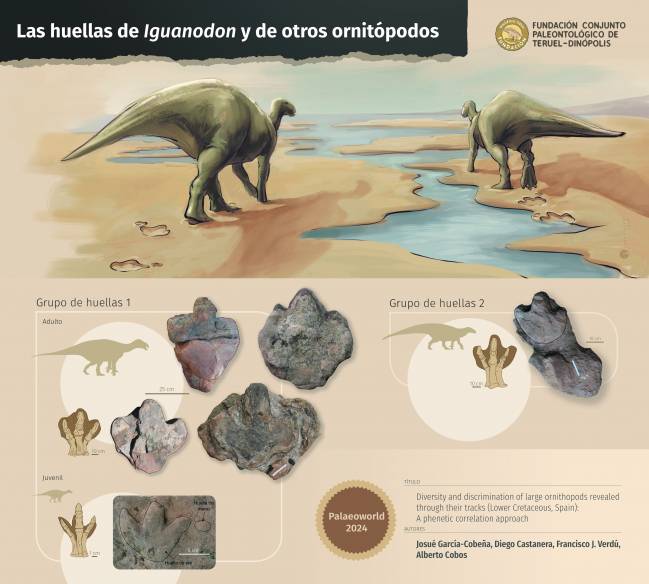 Viñeta sobre un Iguanadon