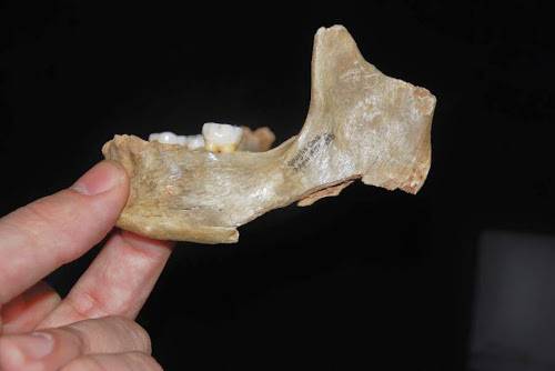  Identificado un nuevo caso de canibalismo ritual de hace 14.500 años