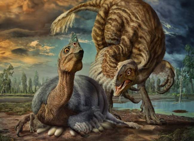 Identifican la especie de un embrión de dinosaurio hallado en los años 90
