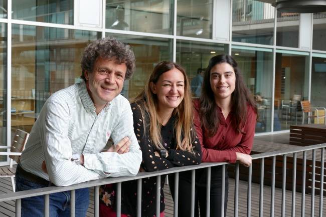Identifican los circuitos cerebrales detrás de la adicción a la comida