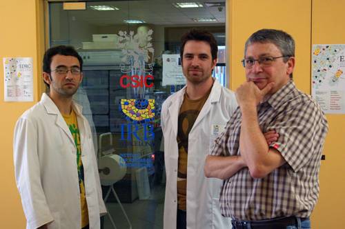 Identifican una proteína que puede estar relacionada con problemas de infertilidad