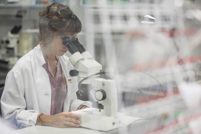 Investigadoras españolas estudian qué pasa si el coronavirus se junta con el parásito de la malaria 