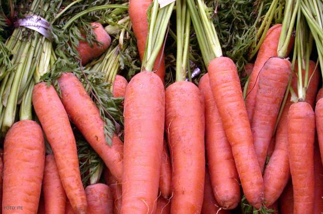 Investigan con betacaroteno para su uso como aditivo alimentario