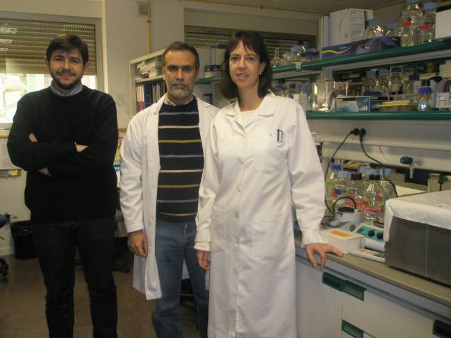 Investigan posibles nuevos antibióticos contra la neumonía y la meningitis
