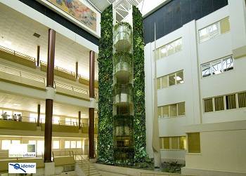 Jardines verticales para reducir el consumo energético en edificios