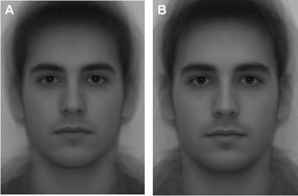 La asimetría y la testosterona afectan a la tendencia cooperativa de los hombres