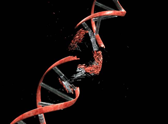 La causa de muchos cánceres son errores en el ‘corrector’ del ADN