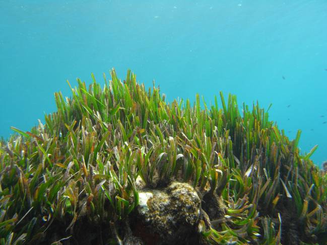 La contaminación por metales en el Mediterráneo comenzó hace 2.800 años