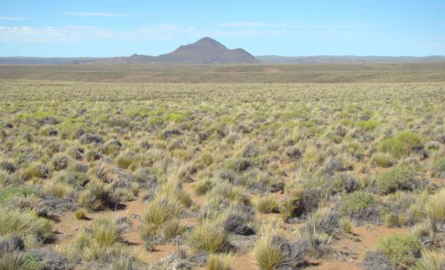 La crisis climática provocará cambios drásticos en los ecosistemas áridos