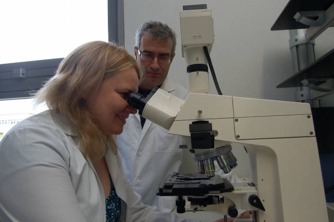 La depresión hace que el cerebro produzca menos neuronas y mantenga las defectuosas
