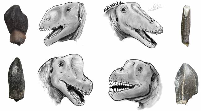 La diversidad de dinosaurios de Portugal es mayor de lo que se pensaba