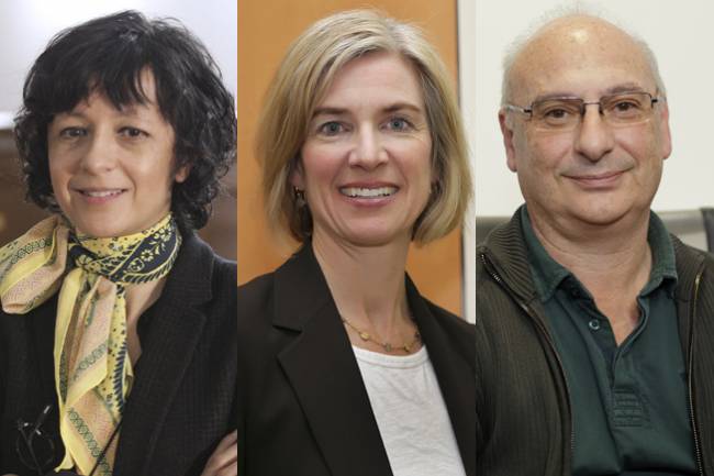 La edición del ADN, premio Fronteras del Conocimiento en Biomedicina
