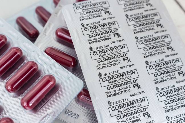 antibióticos